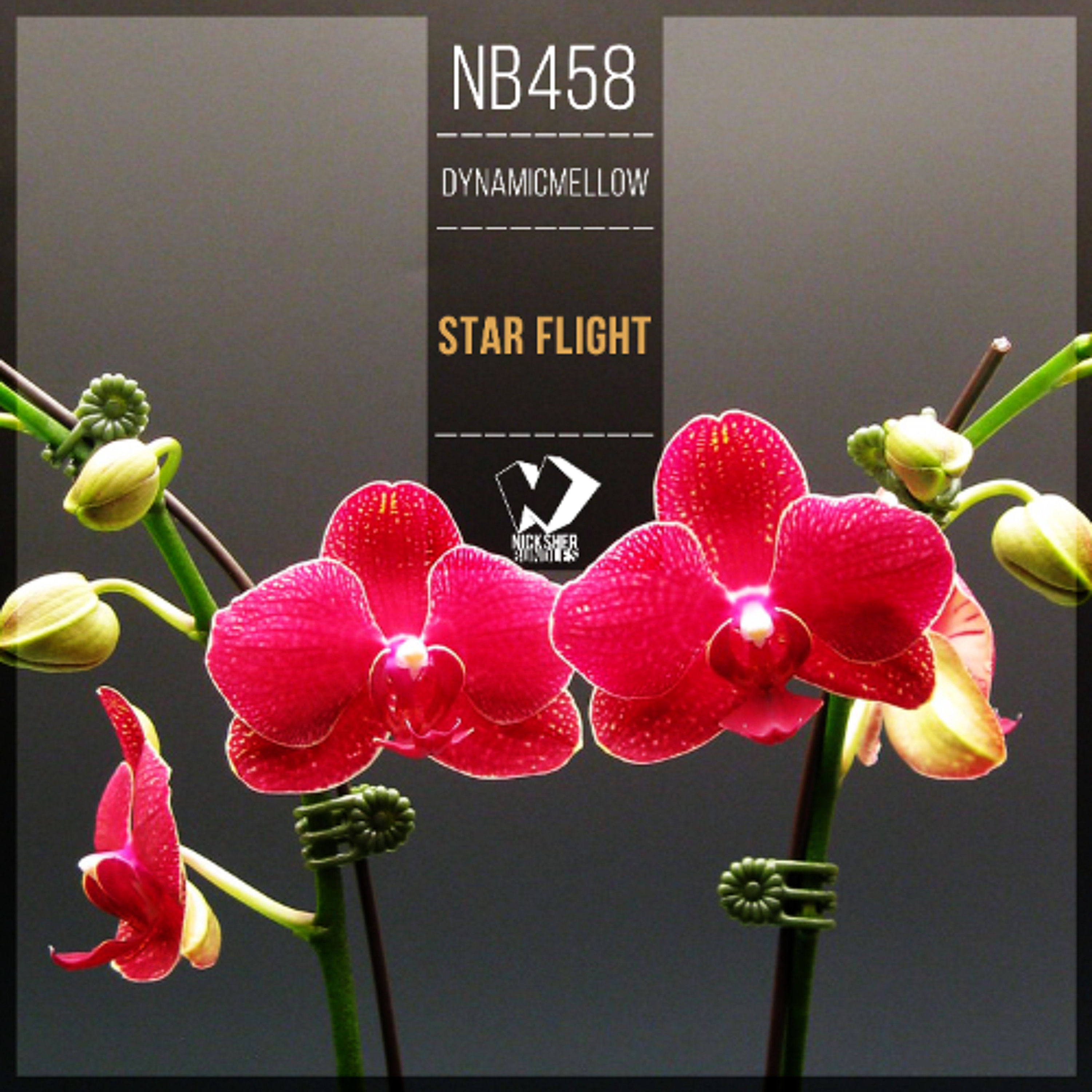 DynamicMellow - Star Flight (Original Mix) episode artwork