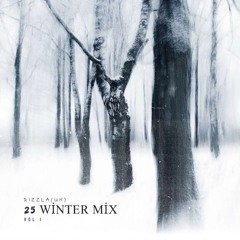 REAGZ-2025 winter mix 01