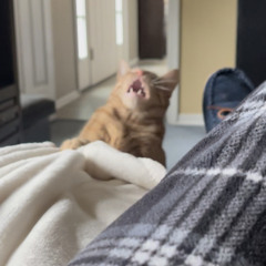 Sympathy Joe Quaill (Goo Goo Dolls, Cover)