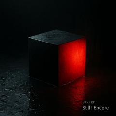 Still I Endure