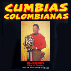 No vuelvo Amar