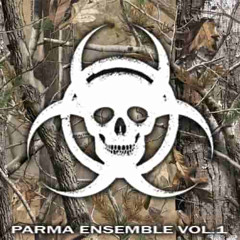PARMA ENSEMBLE VOL. 1