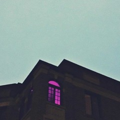 Experiment 01 // Cinnamon