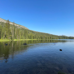 Lost Horse (Instrumental Demo)