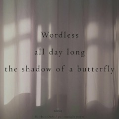 Wordless Butterfly (NaviarHaiku532)