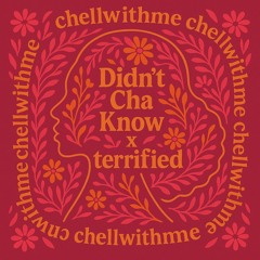 Didn't Cha Know X Terrified Mashup: Erakah Badu and Juls