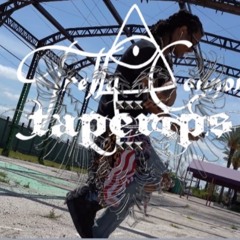 trelly connor - Do A Backflip [taperips exclusives]