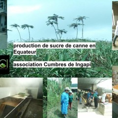 résumé de visite-production de panela en Equateur