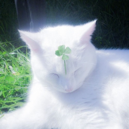 lostcontrol__