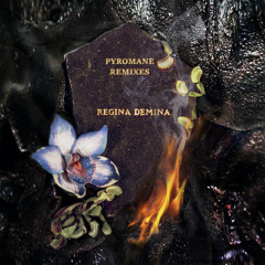 Pyromane (Fifth Era Remix)