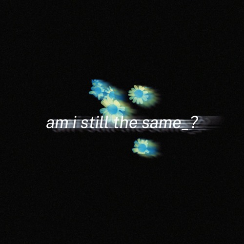 Where have you been?