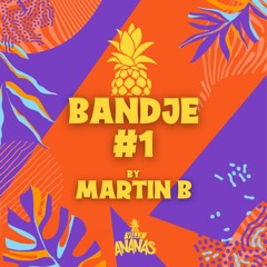 Villa Ananas x Martin B - Bandje 1