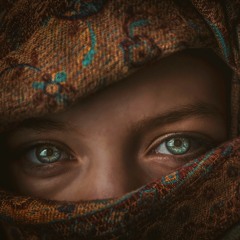 Desert Rose remix - Seth Wilder (ft. Faouzia)