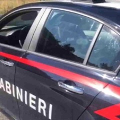 TORINO – Rompe i finestrini delle auto, ruba e scaglia il cane contro i carabinieri