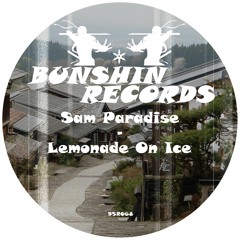 Sam Paradise - Lemonade On Ice