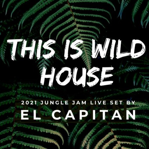 This is Wild House Set - Jungle Jam Live Set