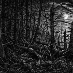 CORPSE IN THE WOODS WITHOUT A FACE FT. CVNNVBINXID(PROD.KOSTIKBEATS)