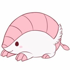 Pink Fairy Armadillo Likes Techno