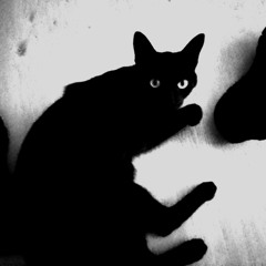 Ein Fünftel der Symphonie