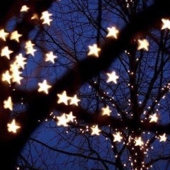 you’re a star