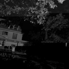 The town behind the pines