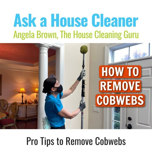 How to Remove Cobwebs From High Ceilings - Pro Tips