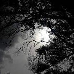 تلاوة بدون مؤثرات برواية ورش - عمر الأزمي