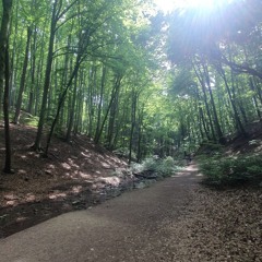 dove (doll ver) - antihoney (slowed + screaming)