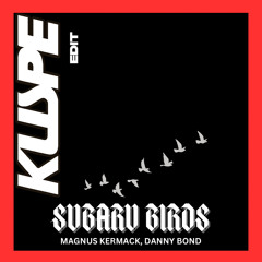 Magnus Kermack, Danny Bond - Subaru Birds (Kuspe Edit)