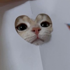 Compliation;monosapa(darktype included)