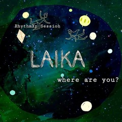 Laika, where are you?