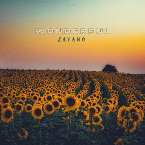 Wonderful [free download]