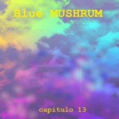 Capitulo 13
