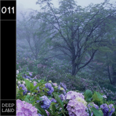 Deep Land - Sagittarius (Set 011)