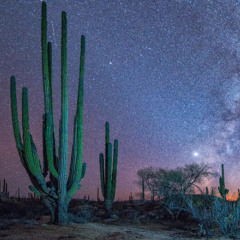 out my body (prod. delucx)