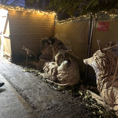 FIRE STARTER - Seni Bootleg