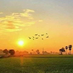 Bewafa Tera Masoom Chehra - Dj Avi Remix(PaglaSongs).mp3