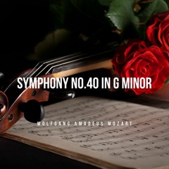 Mozart: Symphony No.40 in G minor (1st movement)