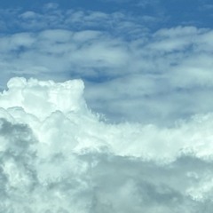 Up In The Sky