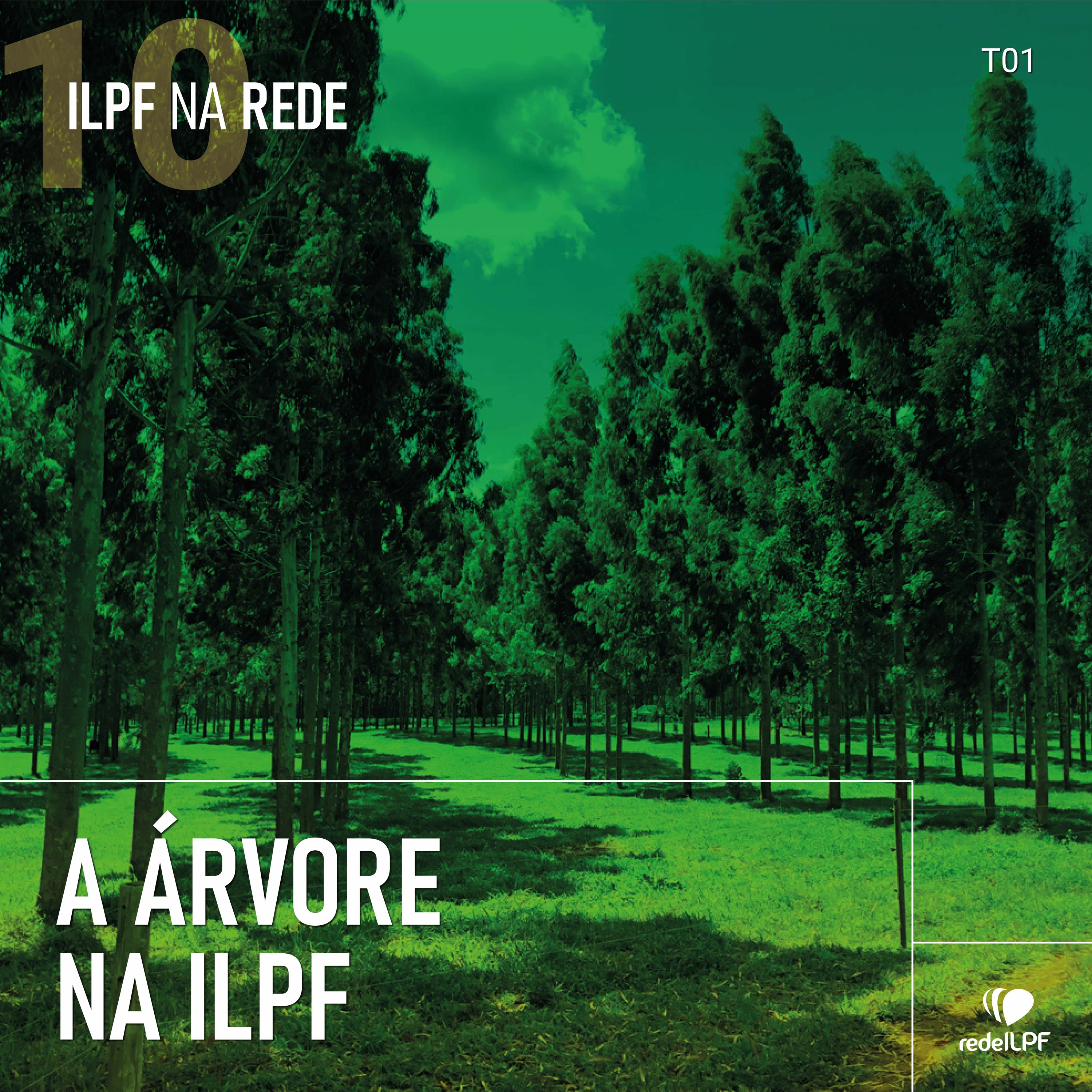 ILPF Na Rede