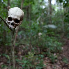 Jungle Shadows: Illicit Sounds of the Darien