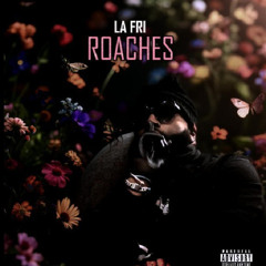 ROACHES