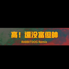 高！还没富但帅（Rabbitdog Remix）