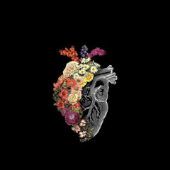 Shape of My Heart (Sting song) cover