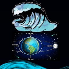 Fabio Zammarchi - HIGH TIDE