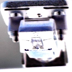 とぼけた自由