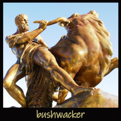 [bushwacker]