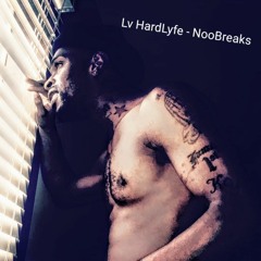 Lv Hardlyfe - NooBreaks