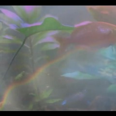 all I wanna do is dream