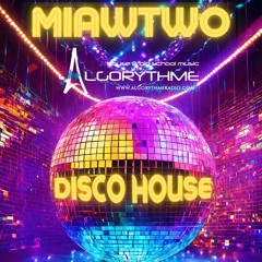 Sunday Session Vol. 109 - Digital Disco House Mix